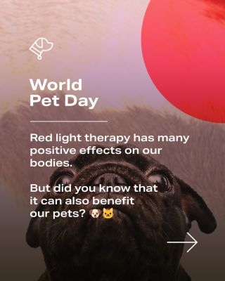 World Pet Day 🐶🐱🐢 In pets, red and near-infrared light promote faster wound healing, support muscle and joint...